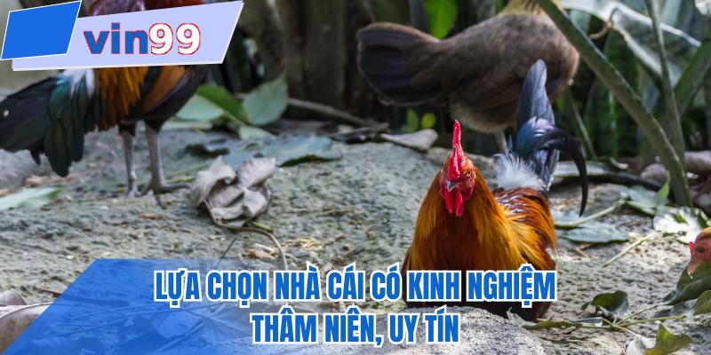 Lựa chọn nhà cái có kinh nghiệm thâm niên, uy tín